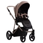 PELPASSO PRO 01 KASHMIR