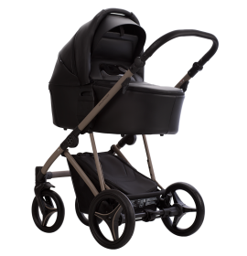 PELPASSO PRO 03 KASHMIR